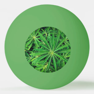 Balle De Ping Pong Plante vert