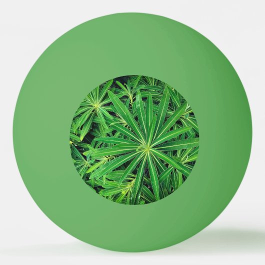 Balle De Ping Pong Plante vert (Devant)
