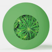 Balle De Ping Pong Plante vert (Dos)