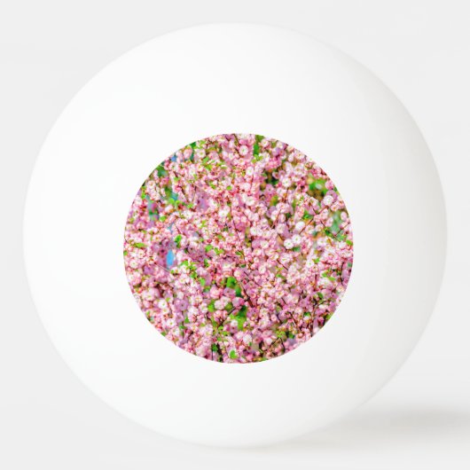 Balle De Ping Pong Plum à fleurs (Devant)