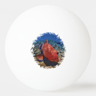 Balle De Ping Pong Poisson De Groupement Sur Coral Golf Balls Golf Ba