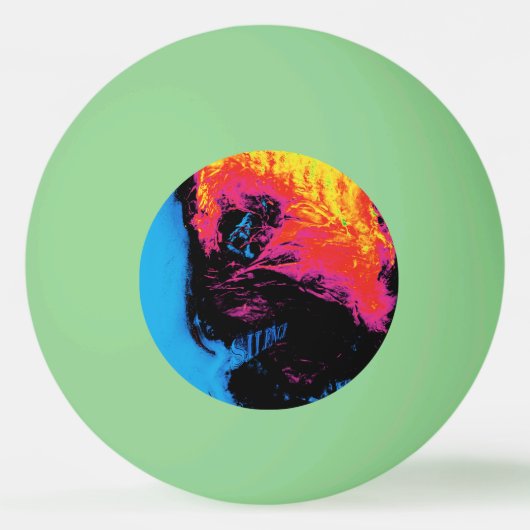 Balle De Ping Pong poivre et plastique réduits au silence (Devant)