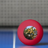 Balle De Ping Pong Pommes (Filet)