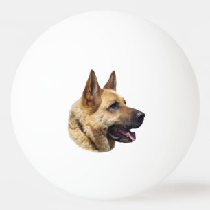 Balle De Ping Pong Portrait d'Alsatian German shepherd