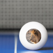 Balle De Ping Pong Portrait de Lion (Filet)