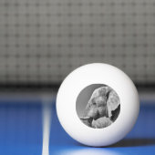 Balle De Ping Pong Portrait d'éléphant (Filet)