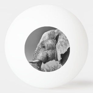 Balle De Ping Pong Portrait d'éléphant