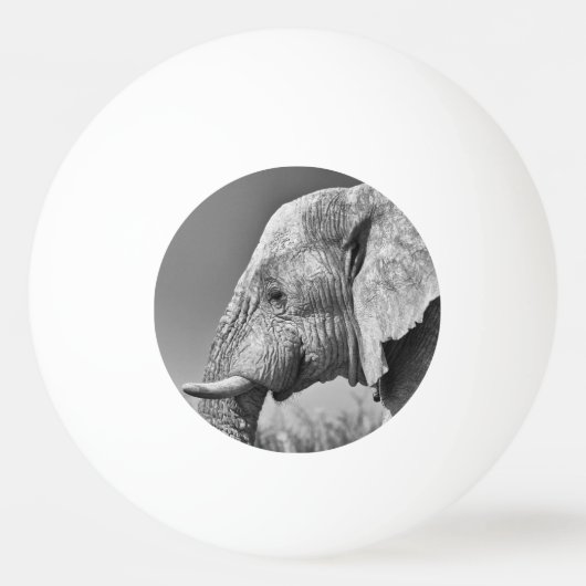 Balle De Ping Pong Portrait d'éléphant (Dos)