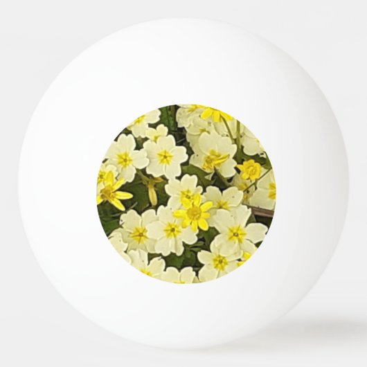 Balle De Ping Pong Primroses du printemps (Devant)