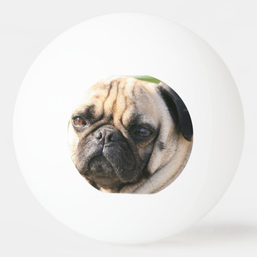 Balle De Ping Pong pug-18 (Dos)