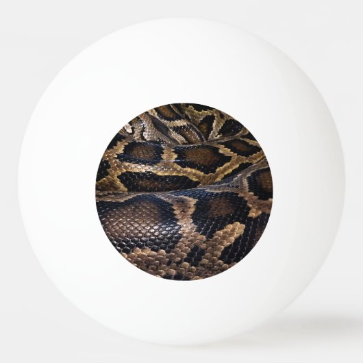 Balle De Ping Pong Python (Devant)