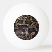 Balle De Ping Pong Python (Dos)