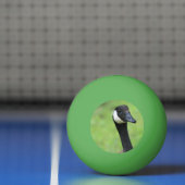 Balle De Ping Pong Quoi ? (Filet)