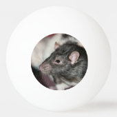 Balle De Ping Pong Rat (Dos)