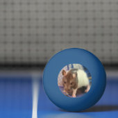 Balle De Ping Pong rat de bébé (Filet)