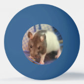 Balle De Ping Pong rat de bébé (Dos)