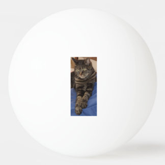 Balle De Ping Pong Regal Dave Une Étoile Ping Pong Ball