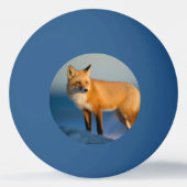 Balle De Ping Pong Renard Brown (Dos)