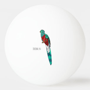 Balle De Ping Pong Resplendent quetzal bird cartoon illustration 