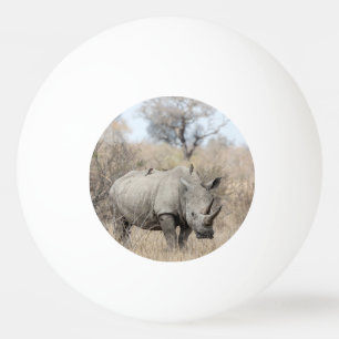Balle De Ping Pong Rhino blanc