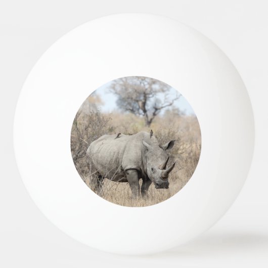 Balle De Ping Pong Rhino blanc (Devant)