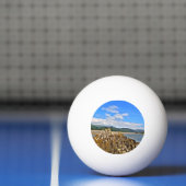 BALLE DE PING PONG RIVIÈRE À MARÉE (Filet)