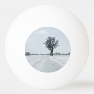 Balle De Ping Pong Rural winter road