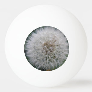 Balle De Ping Pong Saisie Dandelion Fleur Ping Ping Ball