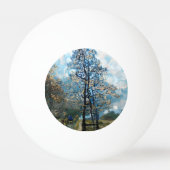 BALLE DE PING PONG SAPIN (Dos)