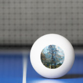 BALLE DE PING PONG SAPIN (Filet)