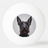 Balle De Ping Pong Scottish Terrier (Devant)
