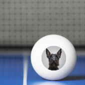 Balle De Ping Pong Scottish Terrier (Filet)