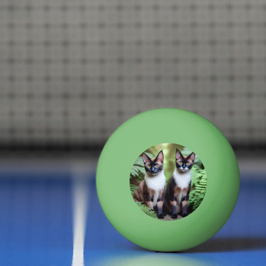 Balle De Ping Pong Siamese Chat Twins, Ping Pong Ball (Filet)