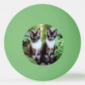 Balle De Ping Pong Siamese Chat Twins, Ping Pong Ball (Dos)