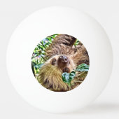 Balle De Ping Pong Sloth peint (Dos)