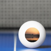 Balle De Ping Pong Soleil (Filet)