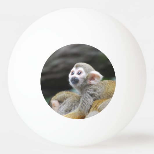 Balle De Ping Pong squirrel-monkey-39.jpg (Devant)