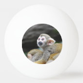 Balle De Ping Pong squirrel-monkey-39.jpg (Dos)
