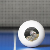 Balle De Ping Pong squirrel-monkey-39.jpg (Filet)