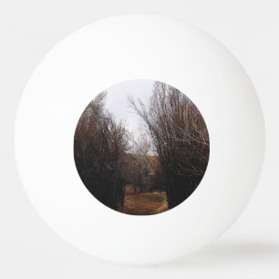 Balle De Ping Pong Surcroissance de Bannack en chute libre