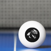 Balle De Ping Pong T blanc Rex (Filet)