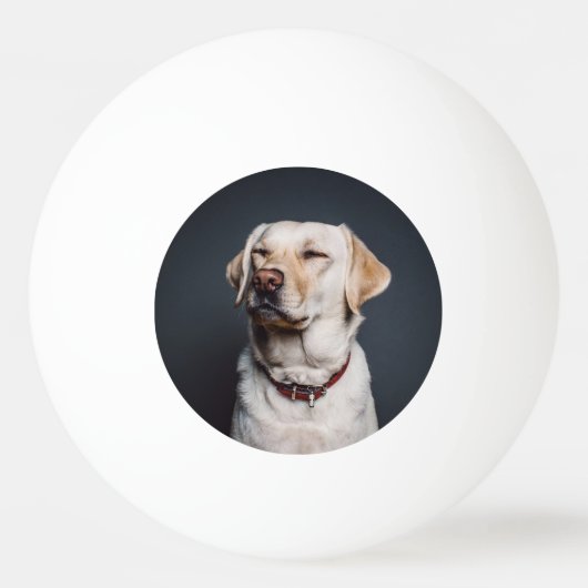 Balle De Ping Pong Télécharger votre photo (Devant)