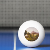 Balle De Ping Pong Thomas Cole Dream d'Arcadia (Filet)