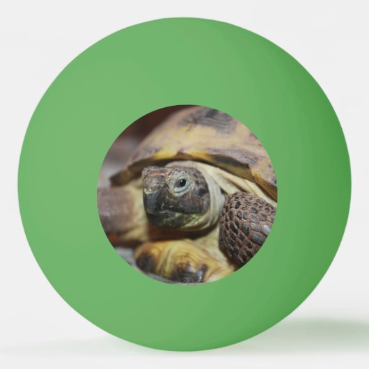 Balle De Ping Pong Tibbs (Devant)