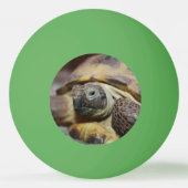 Balle De Ping Pong Tibbs (Dos)