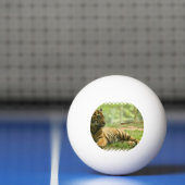 Balle De Ping Pong tiger-28 (Filet)