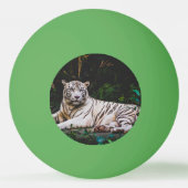 Balle De Ping Pong Tigre (Dos)