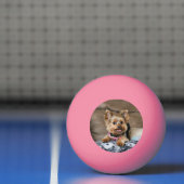 Balle De Ping Pong Tiny Dynamo Tennis Balls (Filet)