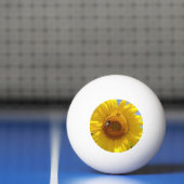 Balle De Ping Pong Tournesol jaune (Filet)
