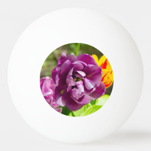 Balle De Ping Pong Tulipes lilas par une journée ensoleillée